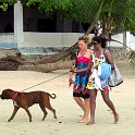 IMG 0359 1