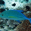 IMG 0566