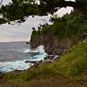 IMG 0106