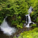 IMG 9482