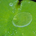 IMG 9836
