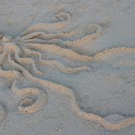 IMG 0152-1