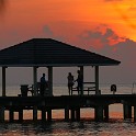 IMG 0272-1