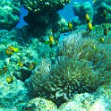 IMG 1206-1