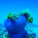 IMG 1282-1