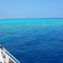 IMG 1446-1
