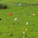 IMG 2883