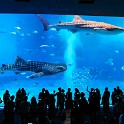 IMG 3283