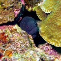 P1000091