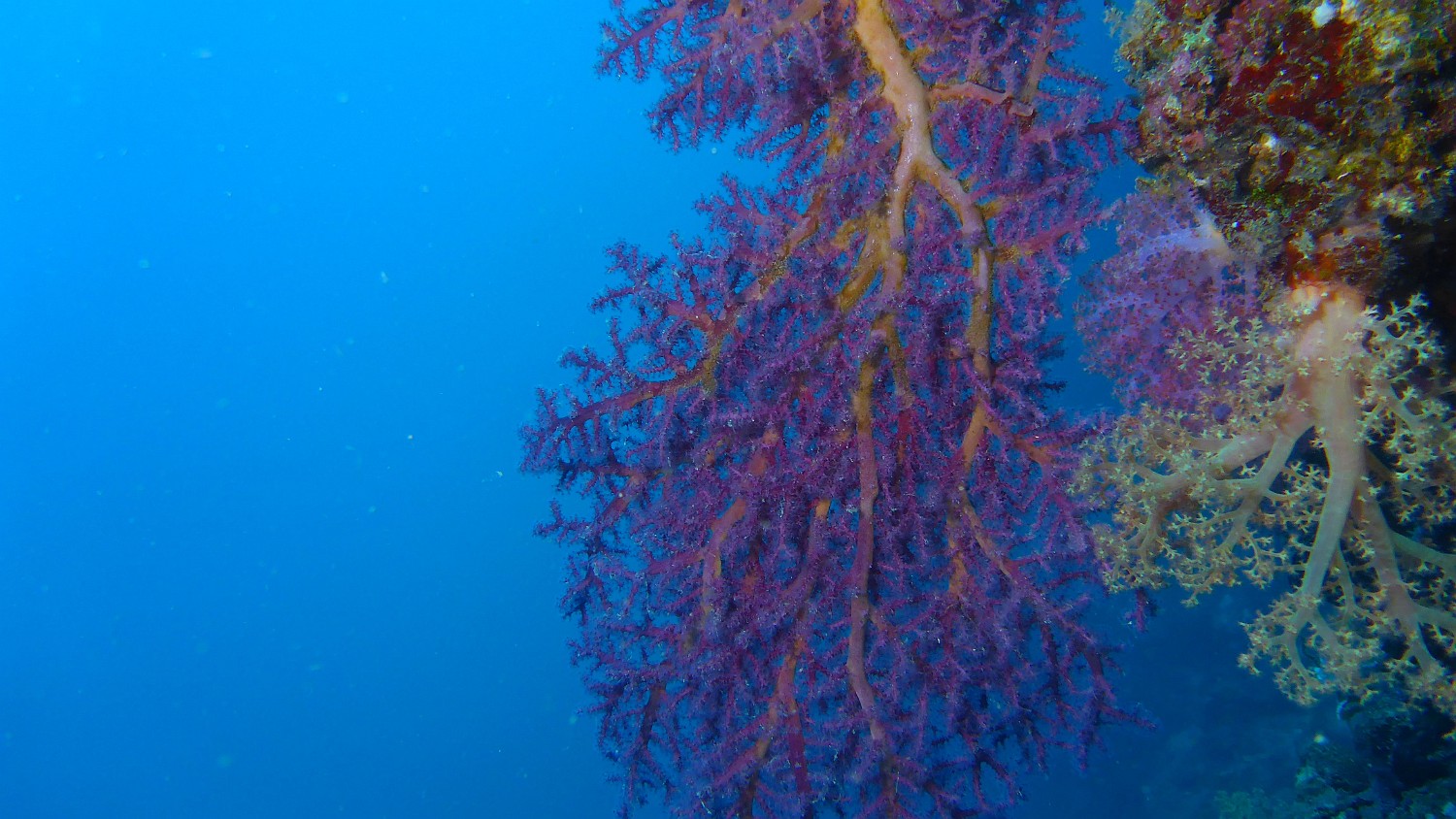 P1020855