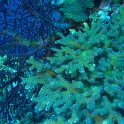 P1020928