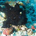P1030358
