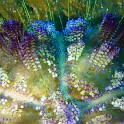 P1030369