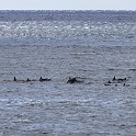 IMG 7745
