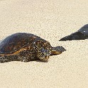 IMG 7821