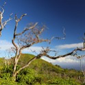 IMG 7831