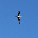 IMG 7931