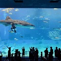 IMG 20241030 111758