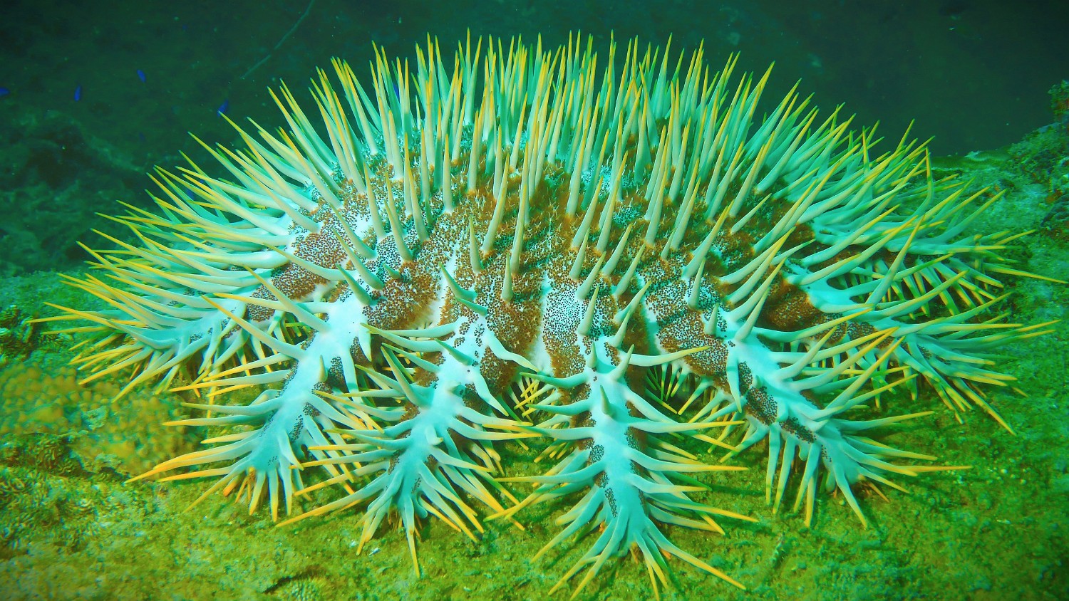 P1060287