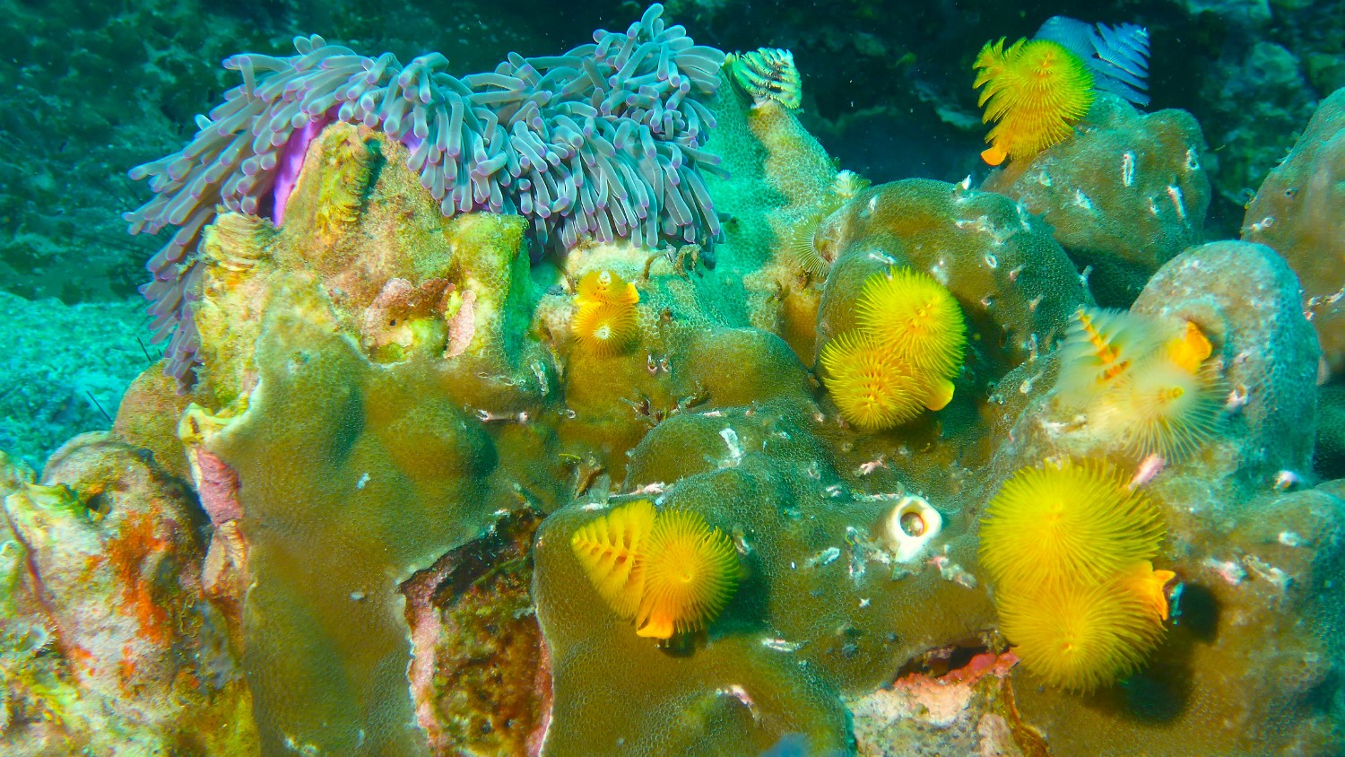 P1060366