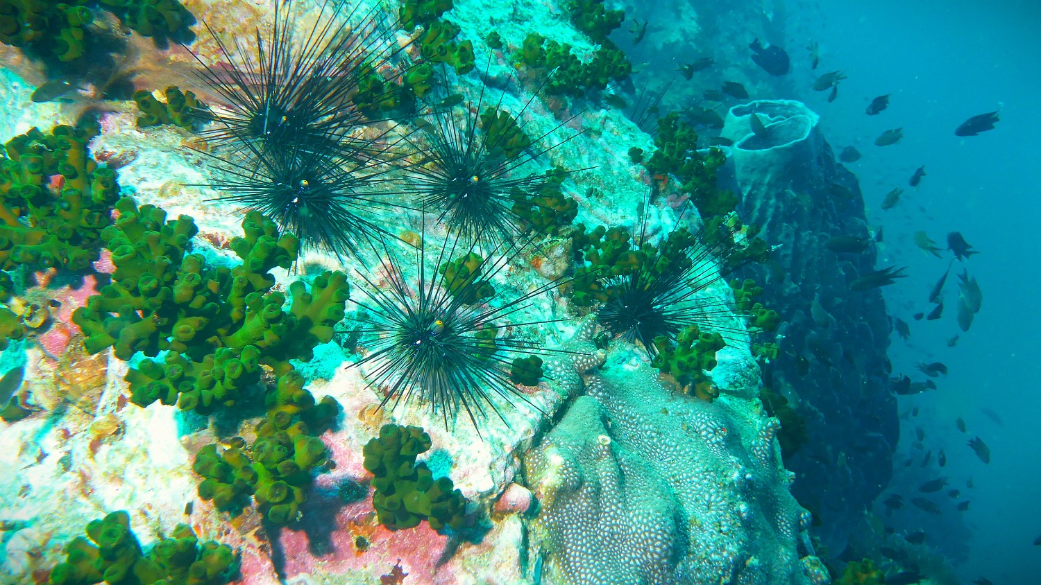 P1060370