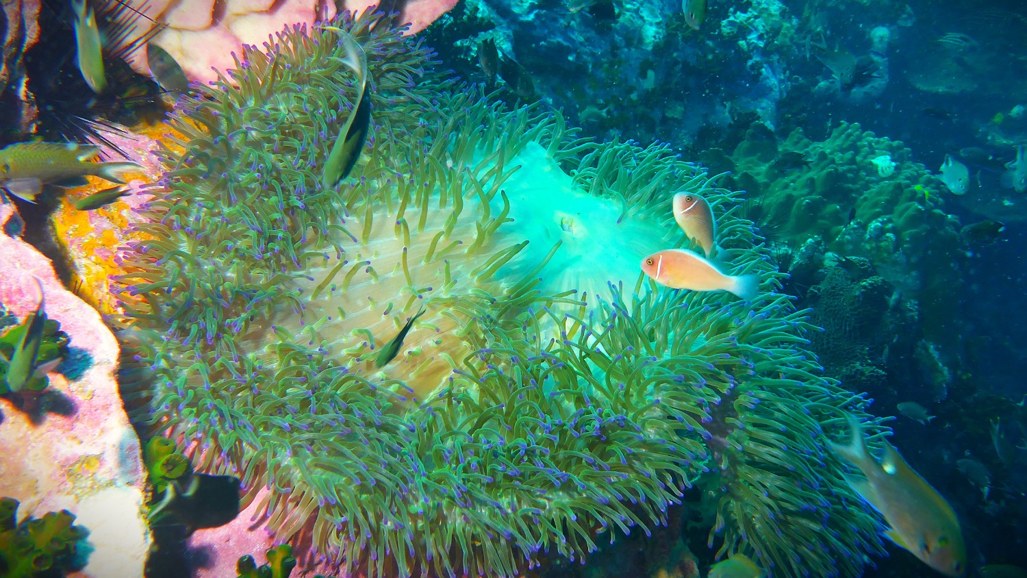 P1060373