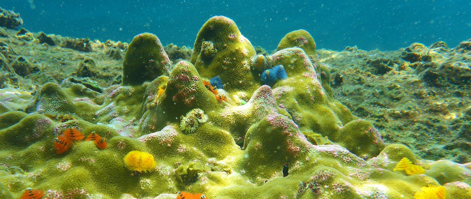 P1060453