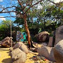 IMG 20240213 100611
