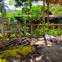 IMG 20240213 101350