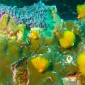 P1060366