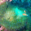 P1060373